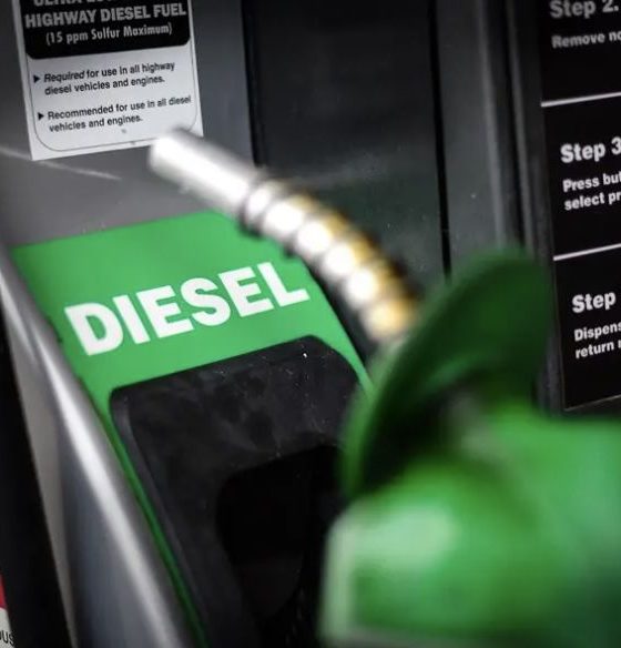 governo-federal-tem-apoio-de-1