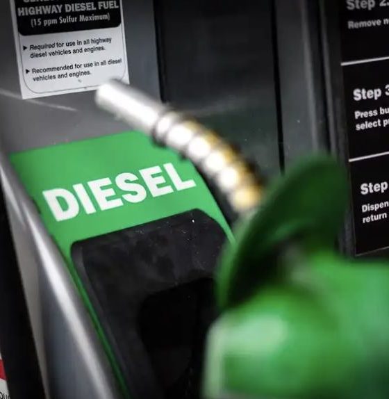 governo-federal-zera-pis-e-cof