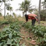 inss-nova-lei-acaba-com-multa-