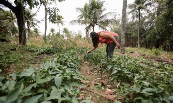 inss-nova-lei-acaba-com-multa-