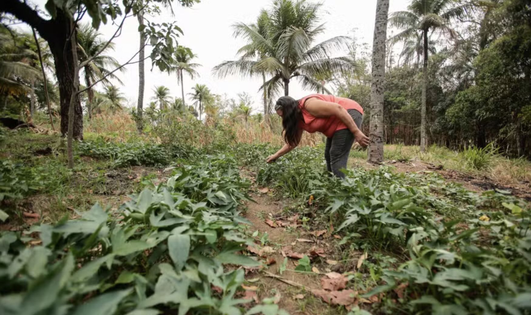 inss-nova-lei-acaba-com-multa-