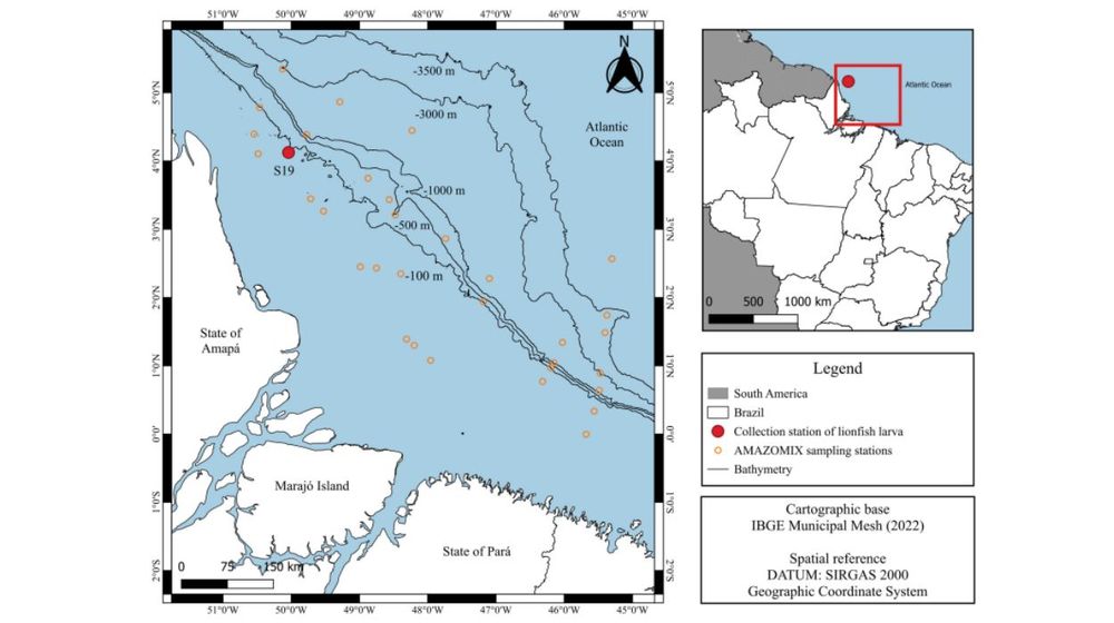 larva-de-39-mm-encontrada-na-f