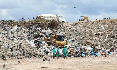 ministerio-publico-recomenda-f