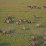 mpf-pede-a-justica-que-icmbio-