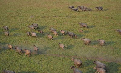 mpf-pede-a-justica-que-icmbio-