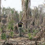 observatorio-da-otca-lanca-pai