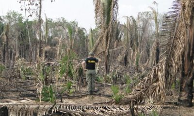 observatorio-da-otca-lanca-pai