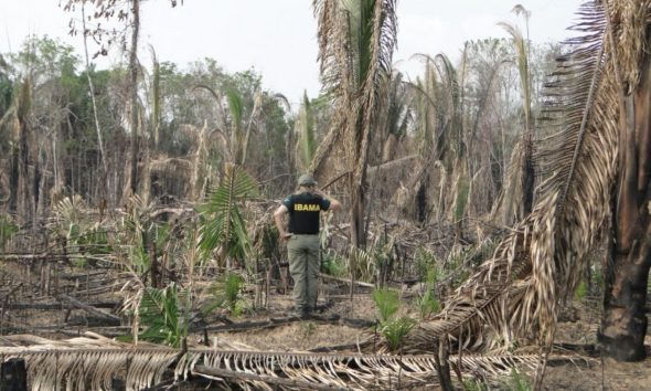 observatorio-da-otca-lanca-pai