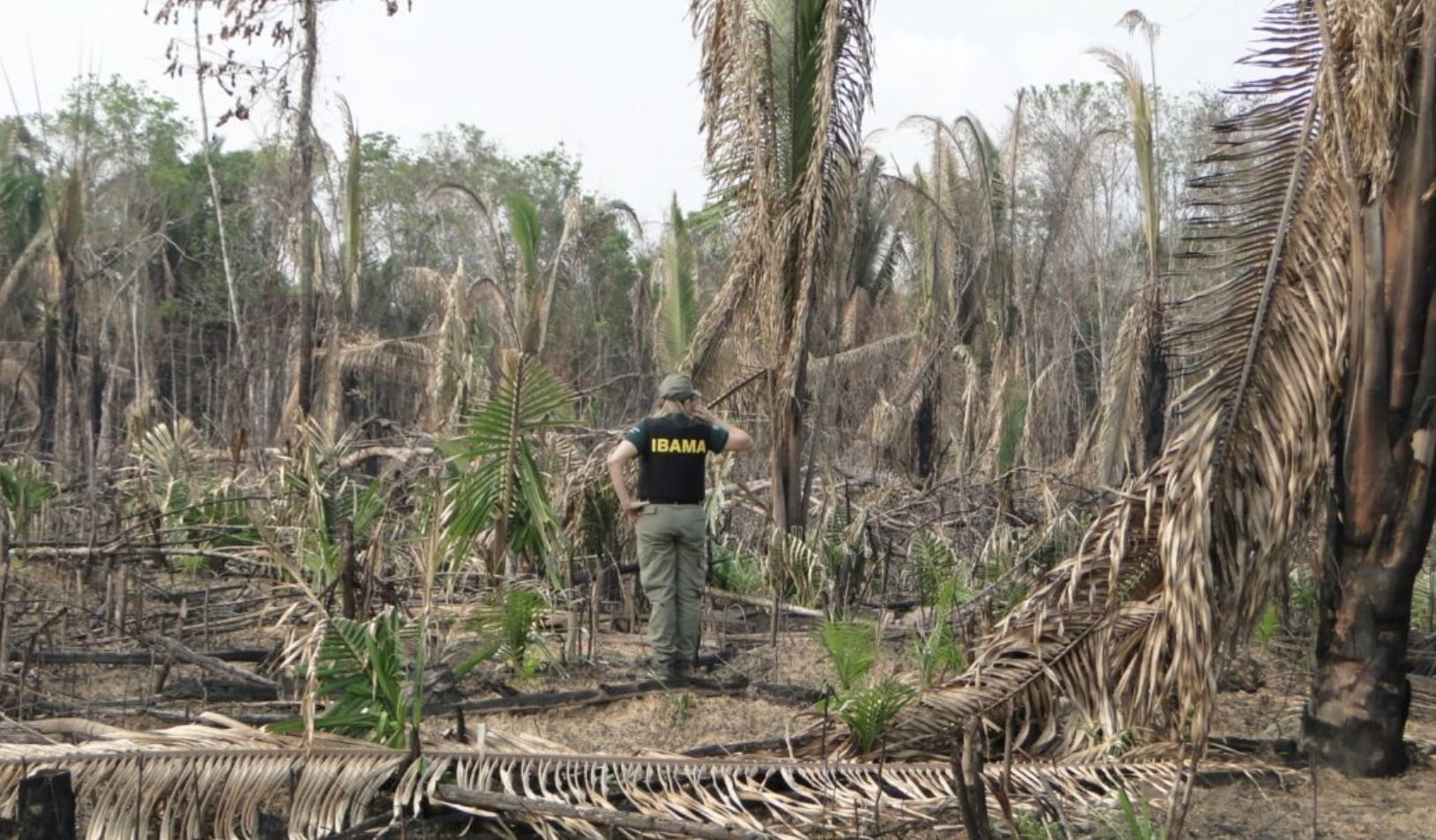 observatorio-da-otca-lanca-pai