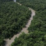 olimpiada-brasileira-da-amazon