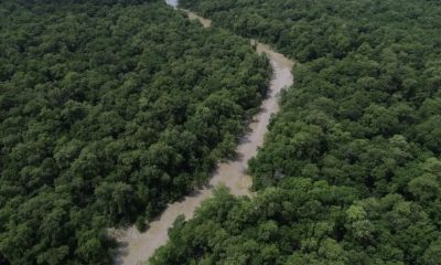 olimpiada-brasileira-da-amazon