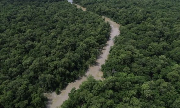olimpiada-brasileira-da-amazon
