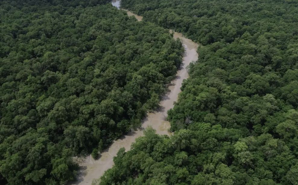 olimpiada-brasileira-da-amazon