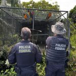 pf-combate-organizacao-crimino