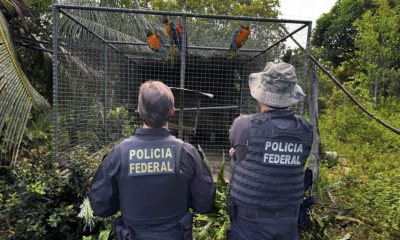 pf-combate-organizacao-crimino