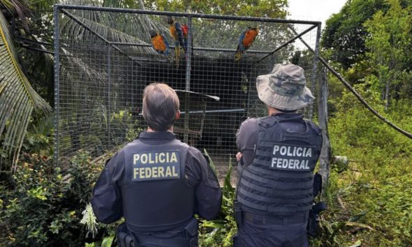 pf-combate-organizacao-crimino