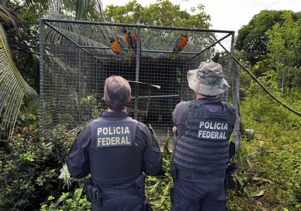 pf-combate-organizacao-crimino
