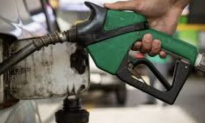 pf-instaura-inquerito-para-apu