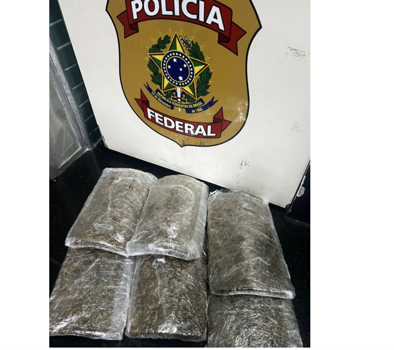 policia-federal-efetua-prisao-