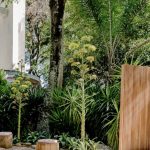 prefeitura-cria-incentivos-e-r