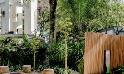 prefeitura-cria-incentivos-e-r