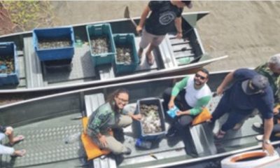 programa-quelonios-da-amazonia