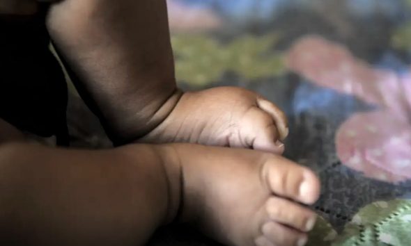 stf-equipara-filhos-adotivos-n