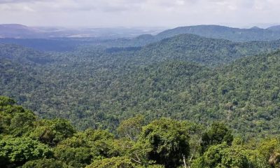 supremo-tribunal-veda-concessa