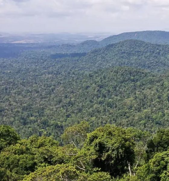 supremo-tribunal-veda-concessa