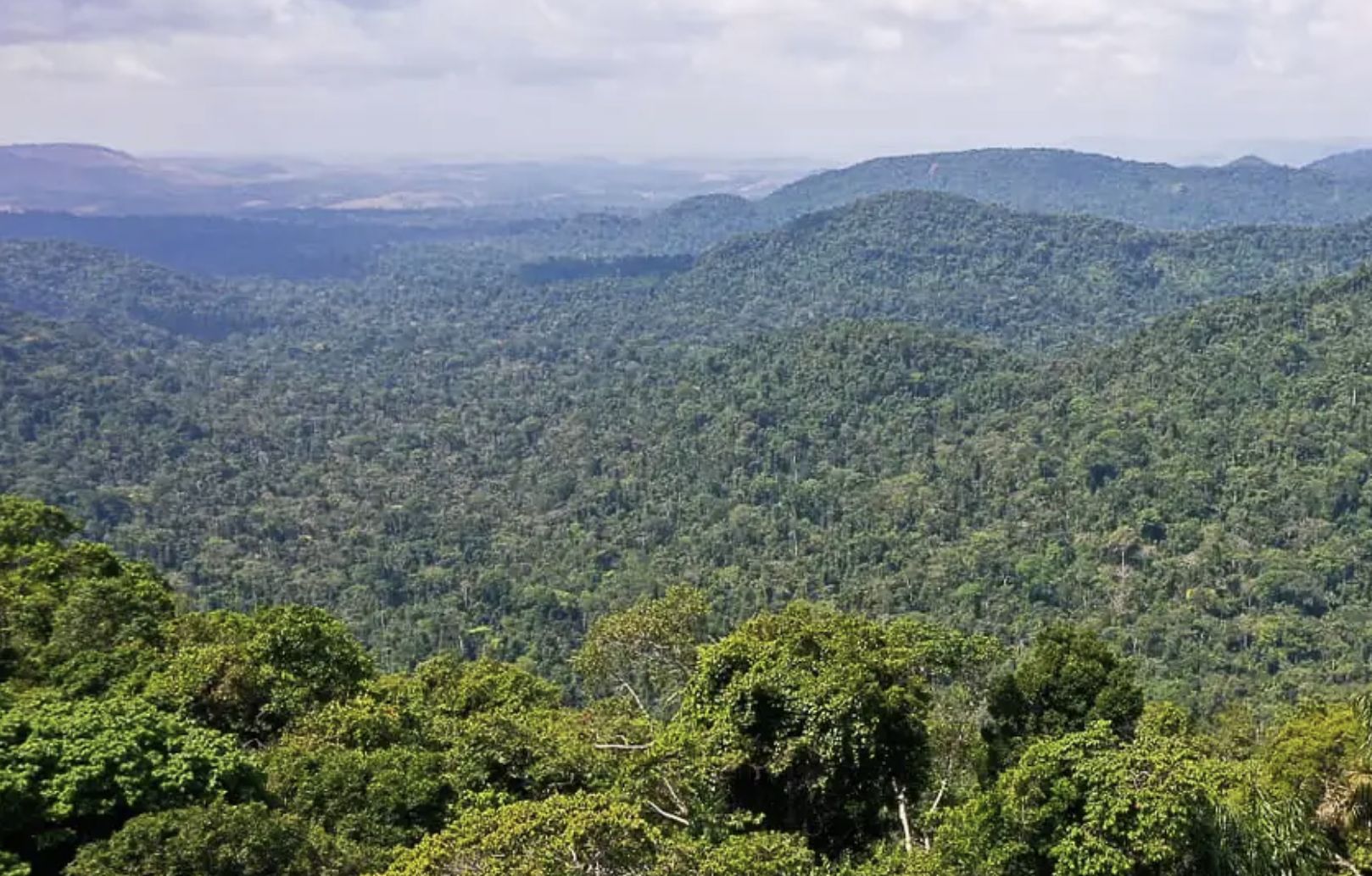 supremo-tribunal-veda-concessa