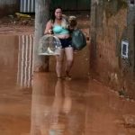 um-quarto-dos-brasileiros-diz-