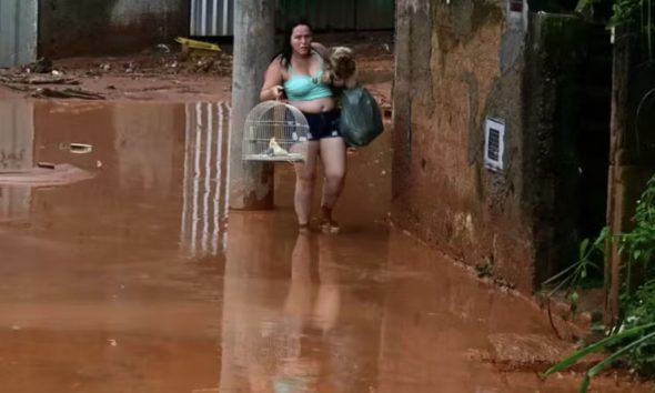 um-quarto-dos-brasileiros-diz-