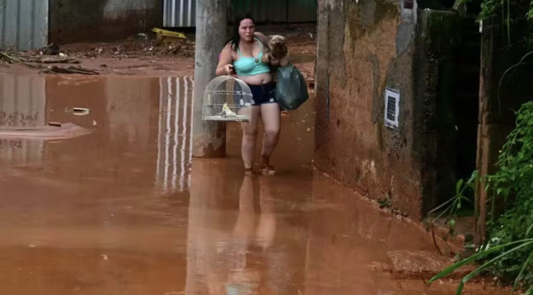 um-quarto-dos-brasileiros-diz-