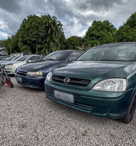 visitacao-ao-primeiro-leilao-d