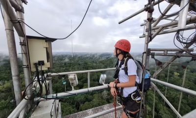 Fenômeno presente em n[evo da Amazônia surpreende pesquisadores — Foto: Bruna Sebben