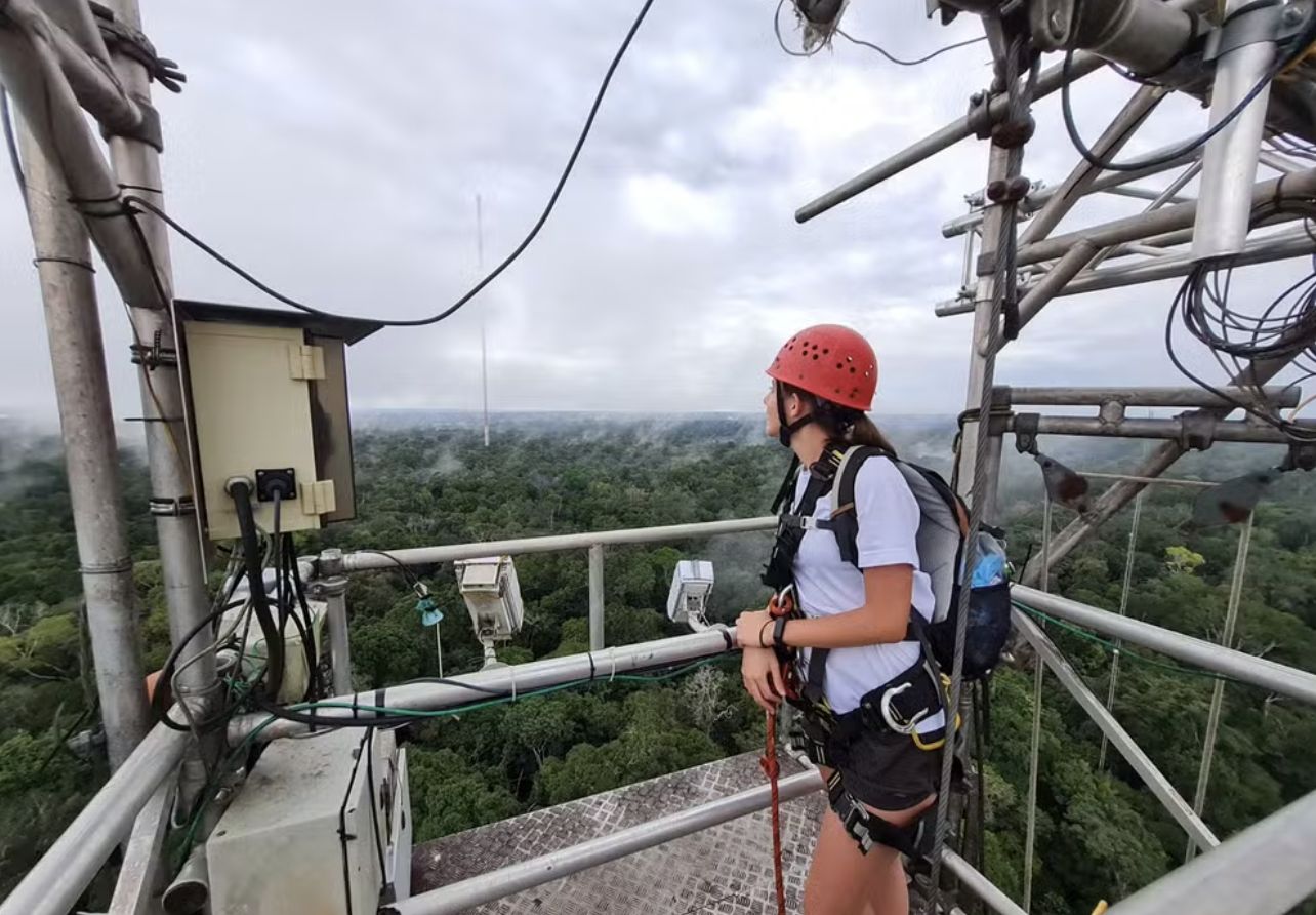 Fenômeno presente em n[evo da Amazônia surpreende pesquisadores — Foto: Bruna Sebben