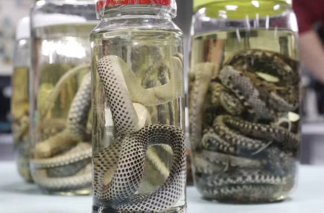 amazonas-registra-mais-de-mil-