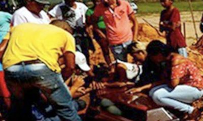 amazonia-legal-concentrou-mais