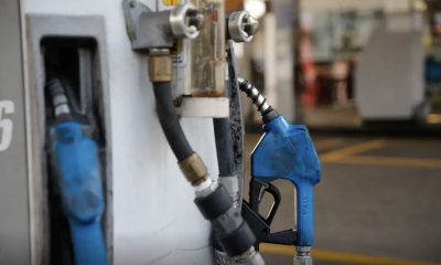 anp-habilita-5-empresas-a-1a-f