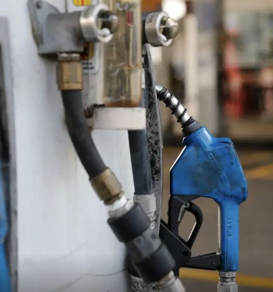 anp-habilita-5-empresas-a-1a-f