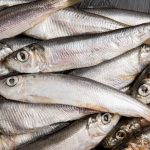 anvisa-manda-recolher-sardinha