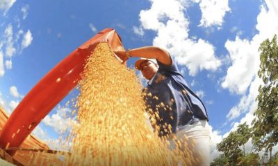 atividade-economica-brasileira