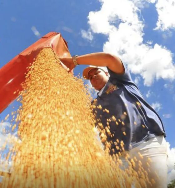 atividade-economica-brasileira