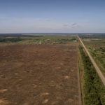 br-319-artigo-na-revista-scien