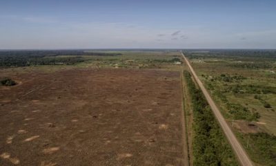 br-319-artigo-na-revista-scien