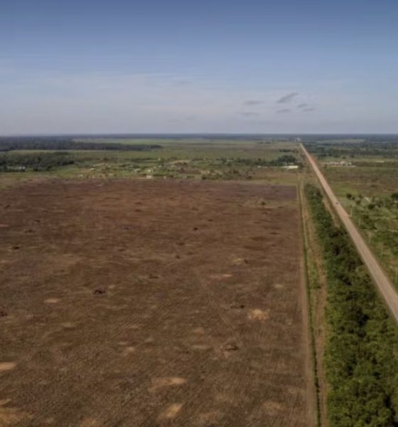 br-319-artigo-na-revista-scien