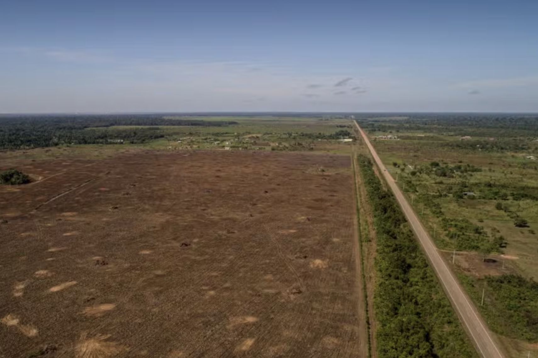 br-319-artigo-na-revista-scien