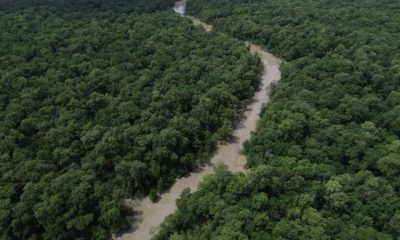 brasil-reduz-em-42-perdas-flor