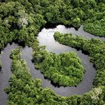 desmatamento-e-degradacao-caem