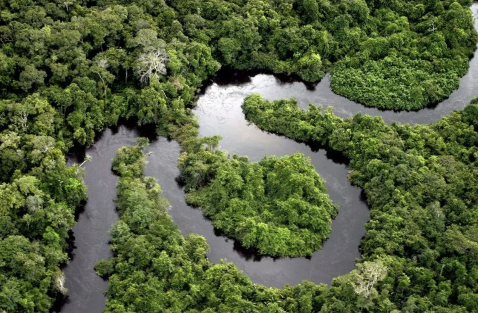 desmatamento-e-degradacao-caem